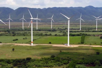 coahuila2